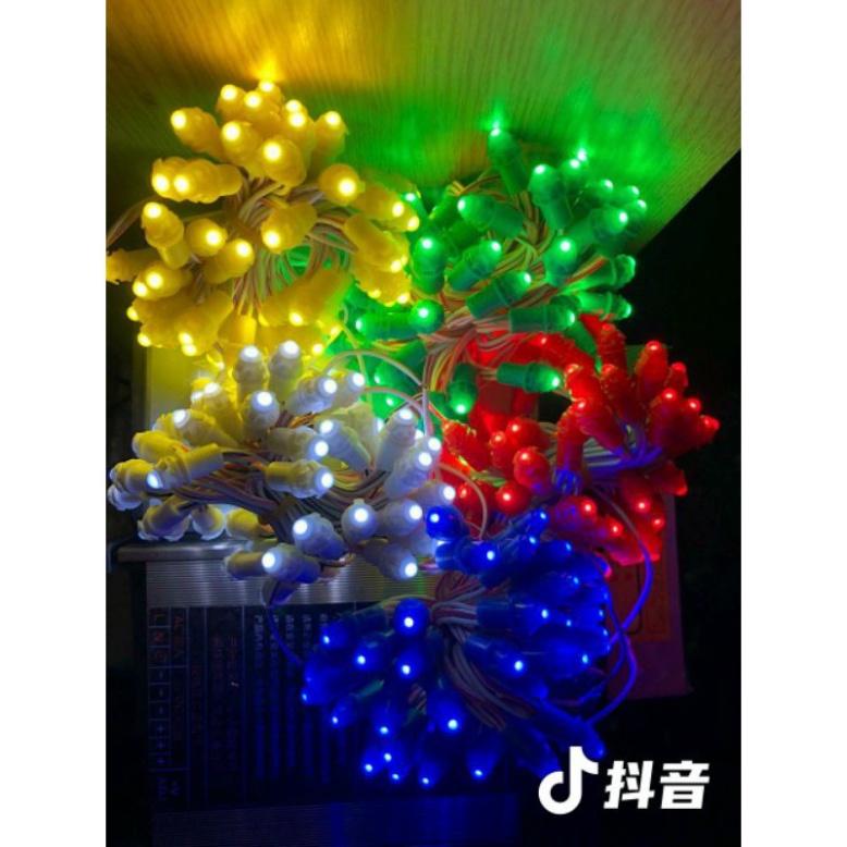 Dây led F5 -12v, dây led đúc cuộn dài 2.5m - 50 bóng trang trí cuốn cây, trang trí quán đẹp long lanh