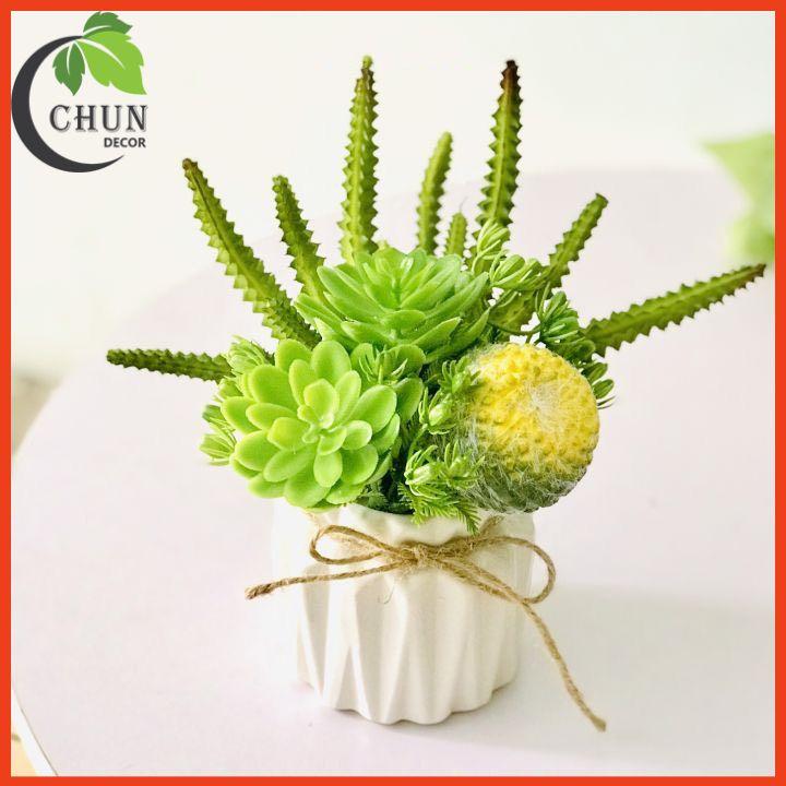 Chậu Sen Đá Giả Trang Trí Bàn Kệ Tủ Giá Sach Cao 15-20cm