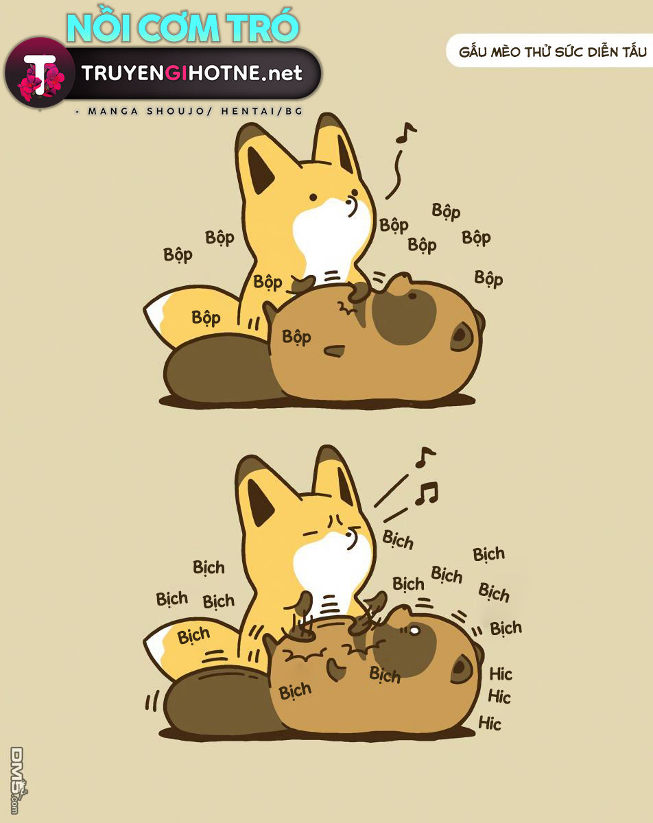 cáo và gấu mèo chapter 9 9