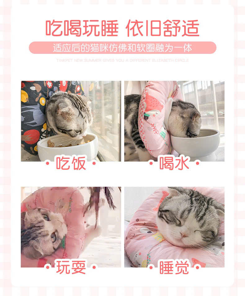 VÒNG CỔ THÚ CƯNG VÒNG CỔ LOA CHỐNG LIẾM CHO THỎ CHÓ MÈO TỪ 0.1-8KG MÃ 09 CHO CHÓ MÈO THỎ