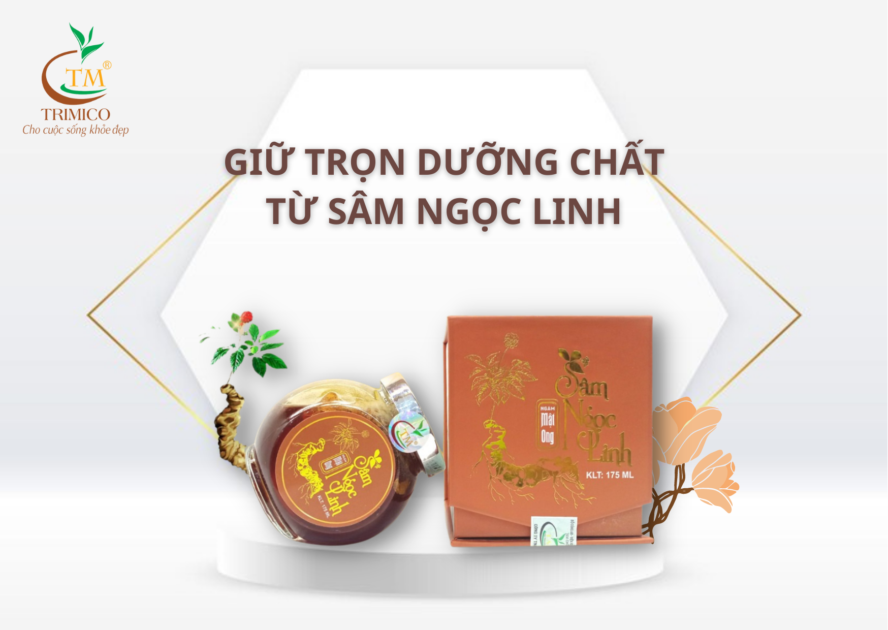 Sâm Ngọc Linh ngâm mật ong 175ml