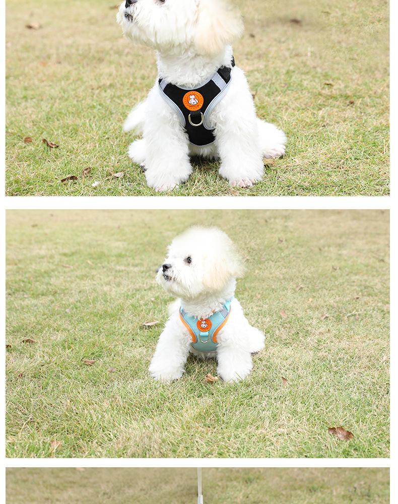 Dây đai cho chó - Dây nịt áo có thể điều chỉnh, Áo phản quang mềm, Dây xích - dành cho Mèo và Chó con, m-Đen