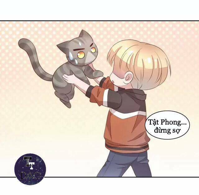 dưới móng vuốt mèo chapter 20 28