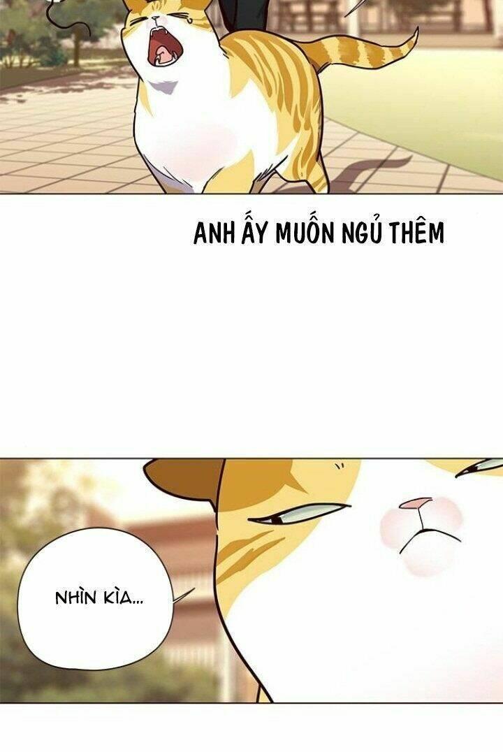 biến thân thành mèo chapter 90 40