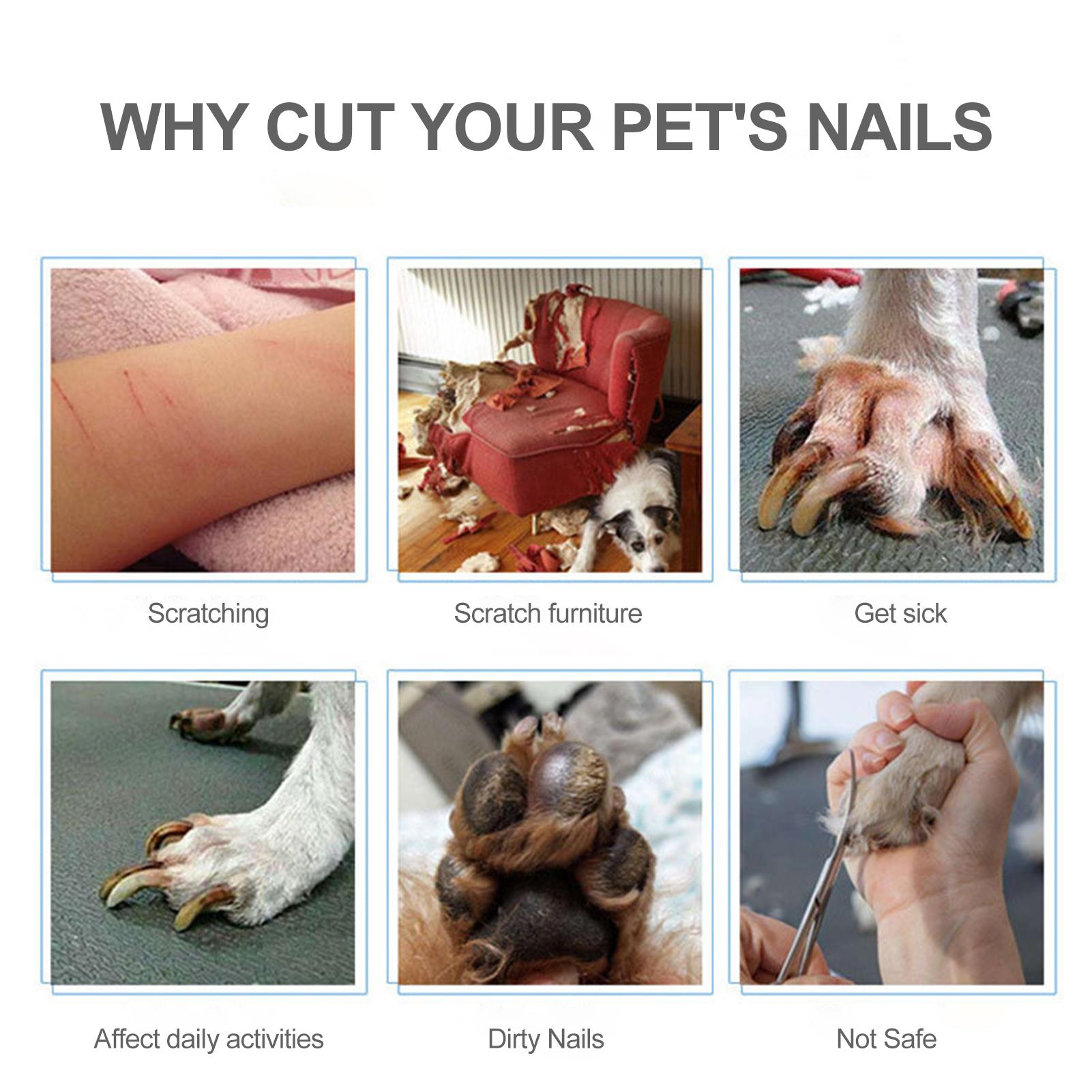 Dụng cụ cắt tỉa móng chuyên nghiệp cho thú cưng kèm giũa móng