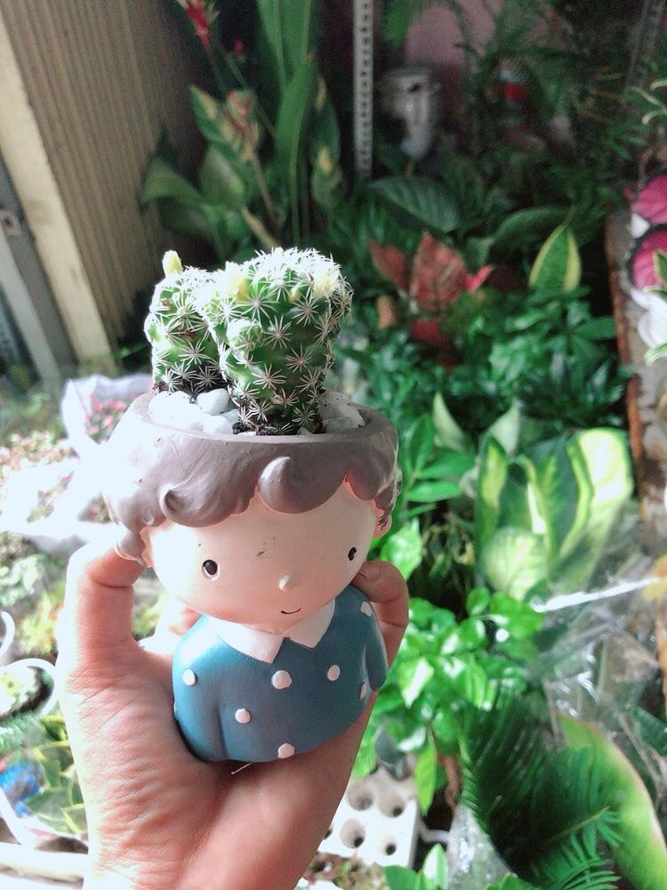 Chậu Xương Rồng Trứng Chim