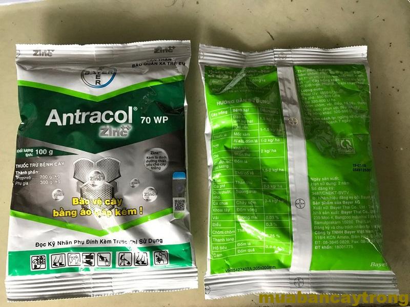 Thuốc Trừ Bệnh Cây Trồng ANTRACOL