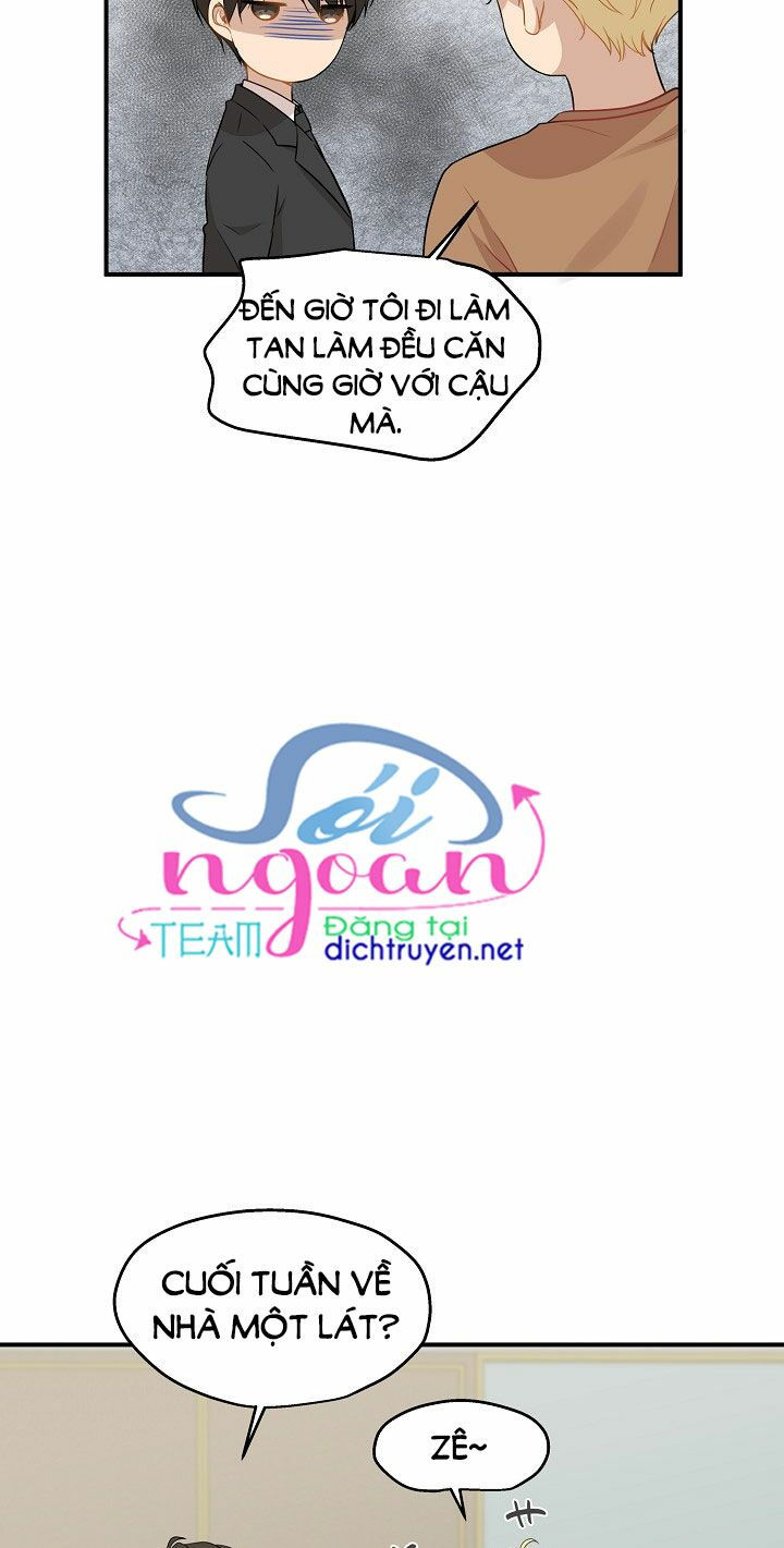 cuộc sống kỳ thú chapter 27 11