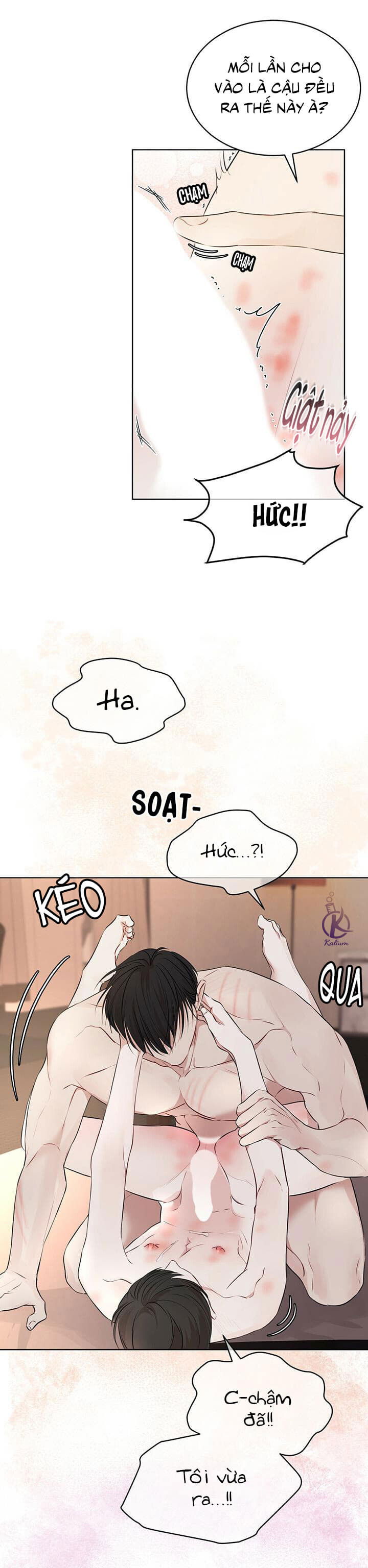 hình thái khởi sinh chapter 29 18