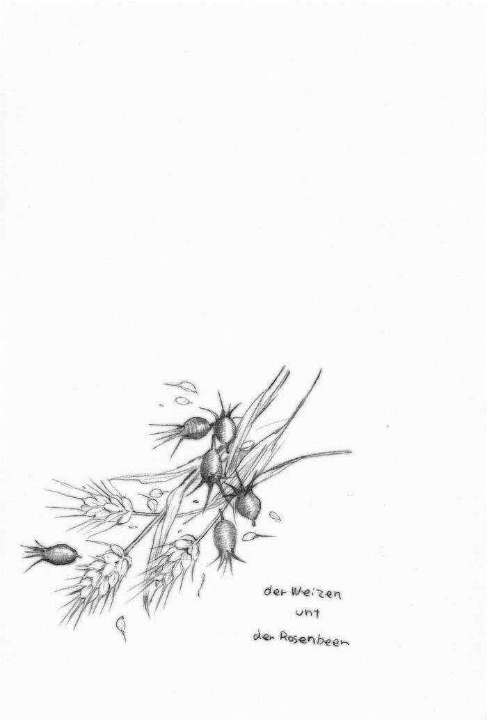 maiden rose-special chapter 10 20