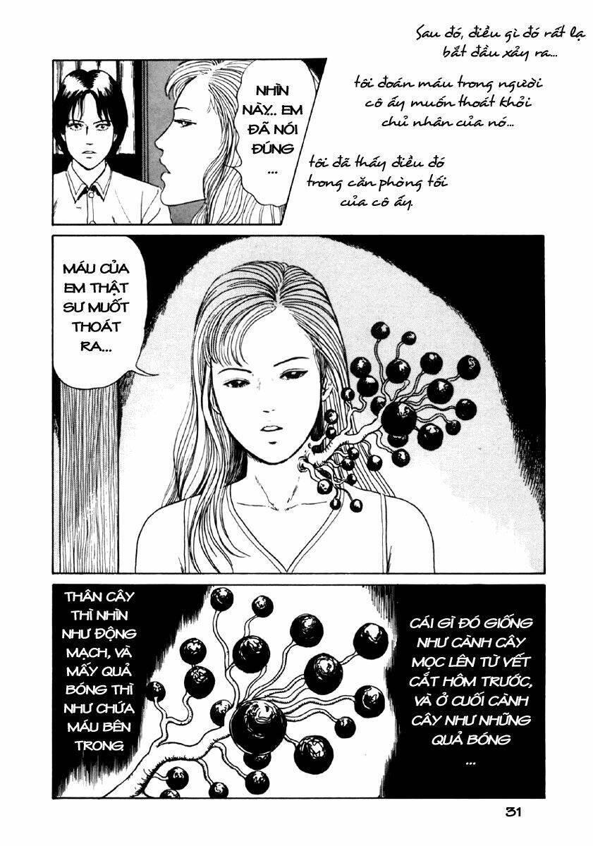 tuyển tập truyện ngắn kinh dị của ito junji chapter 8.1 33