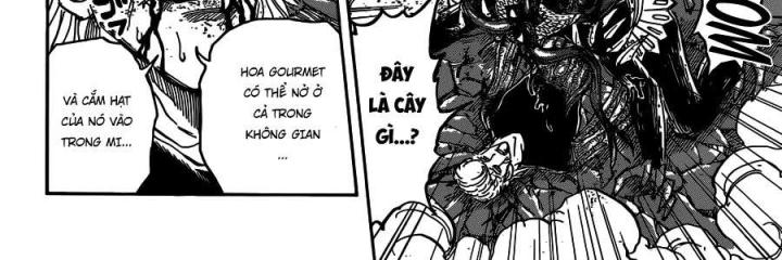 thánh tỏi sành ăn chapter 379 35