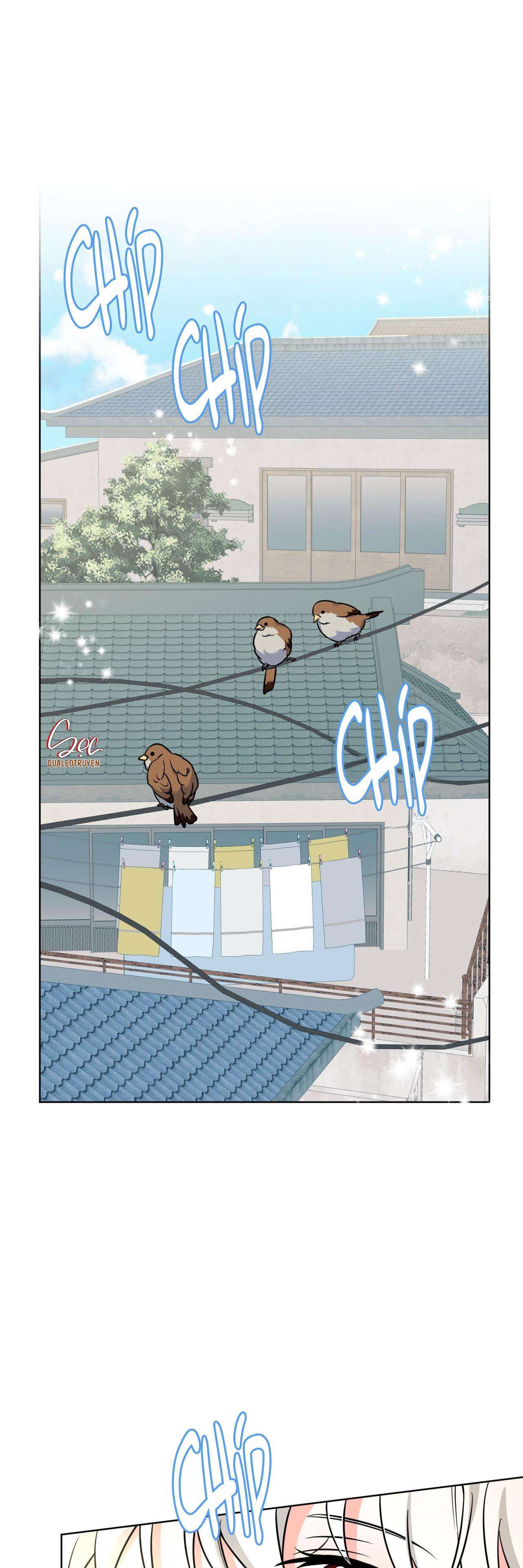 nước uống tình yêu của cáo plin chapter 10 2