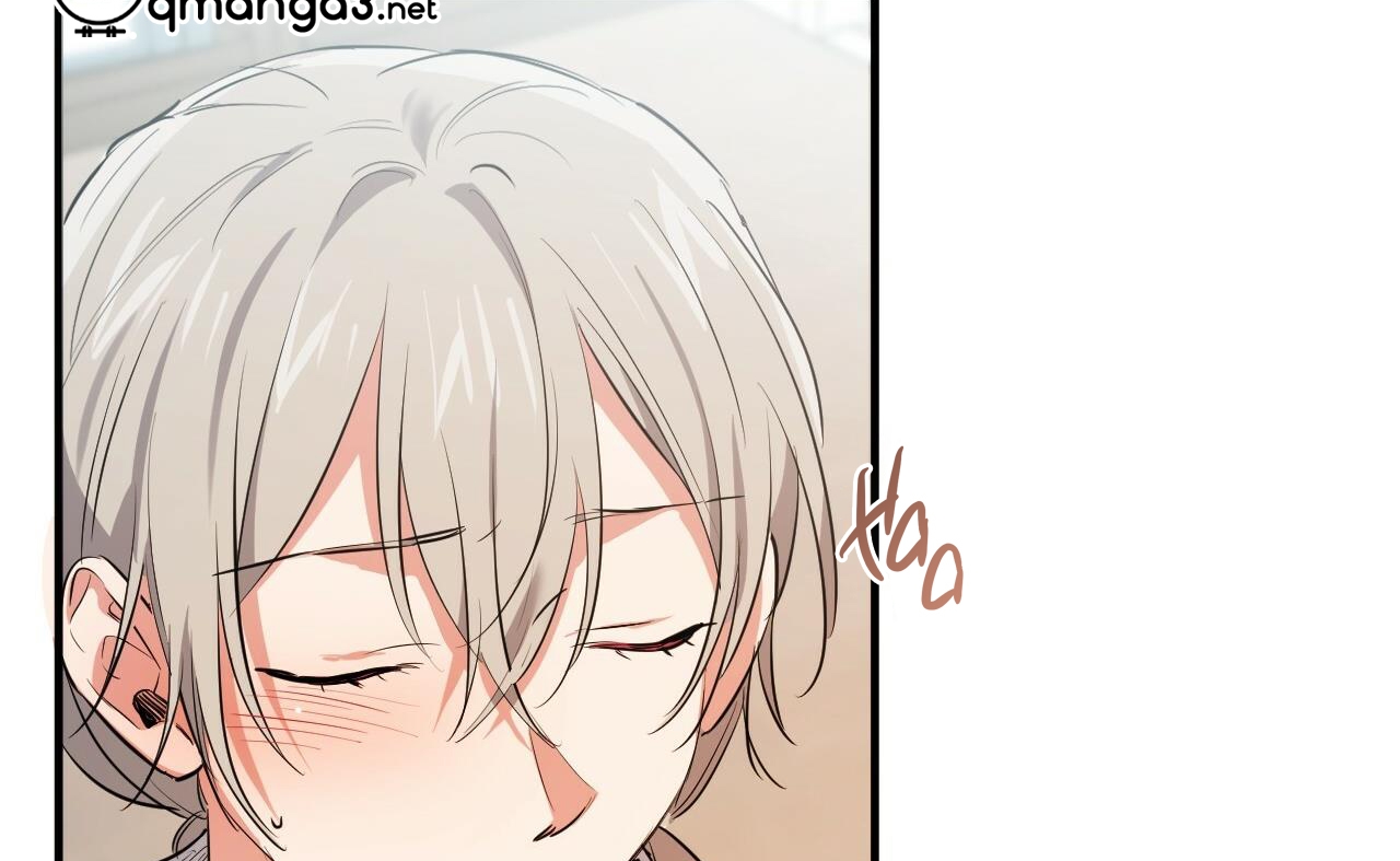 những chú thỏ của hapypy chapter 52 145