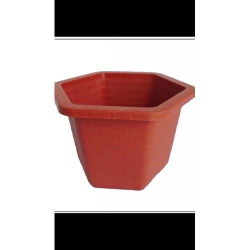 5 Chậu nhựa lục giác trồng cây, hoa hồng