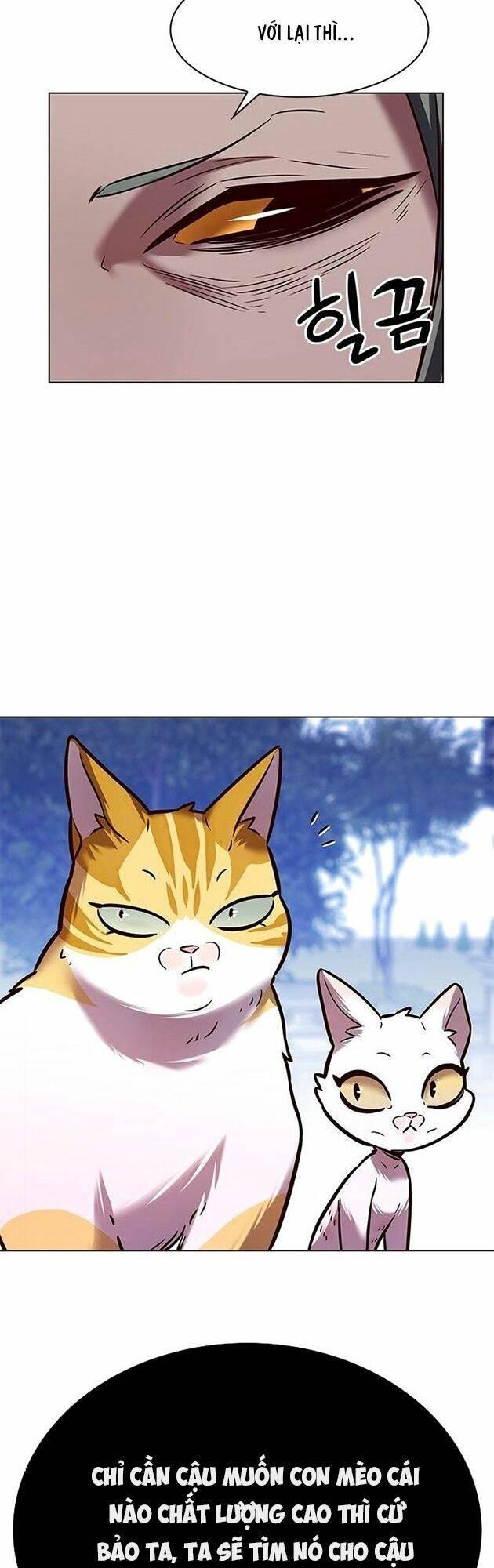 biến thân thành mèo chapter 222 63
