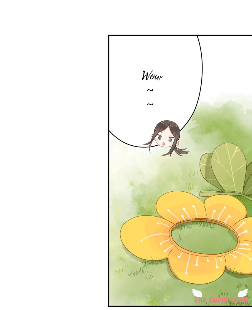 tiệm hoa hướng dương ở góc phố chapter 5 13