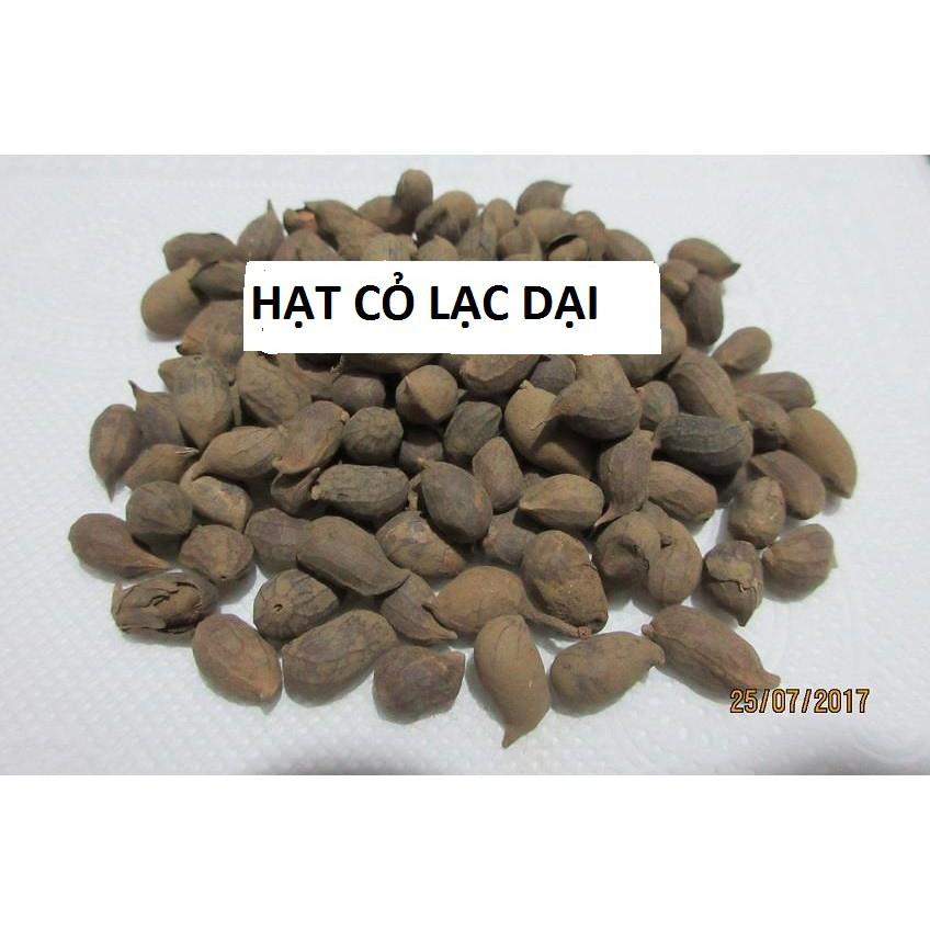 Hạt Cỏ Lạc Dại 100 Hạt - cỏ chăn nuôi &amp; trang trí sân vườn, công viên