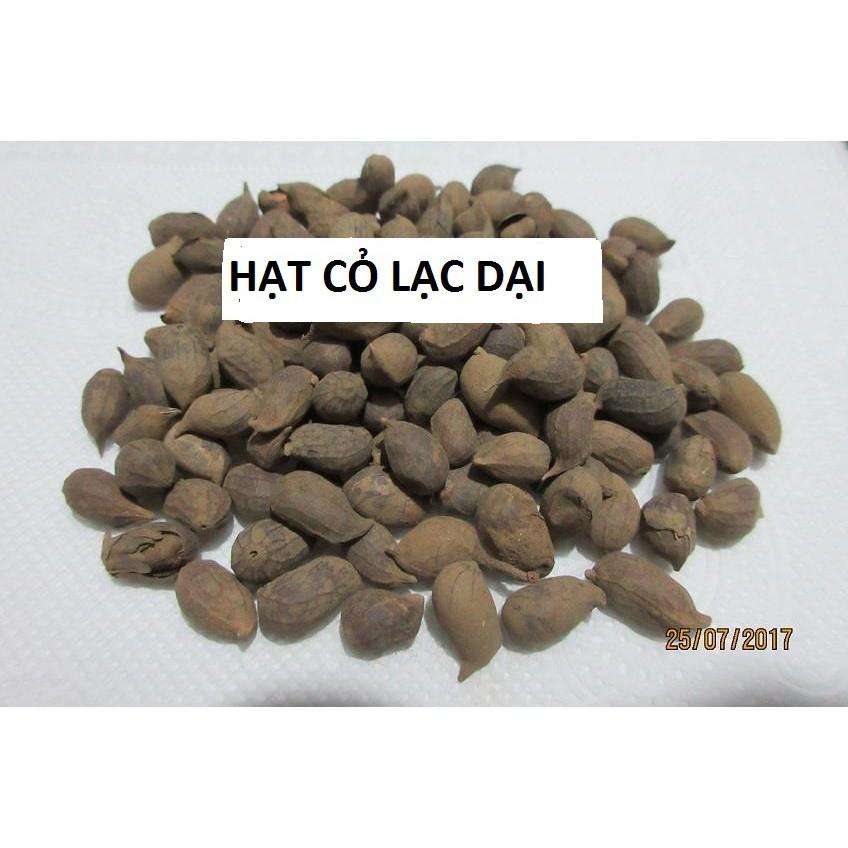 Hạt Cỏ Lạc Dại 100 Hạt - cỏ chăn nuôi & trang trí sân vườn