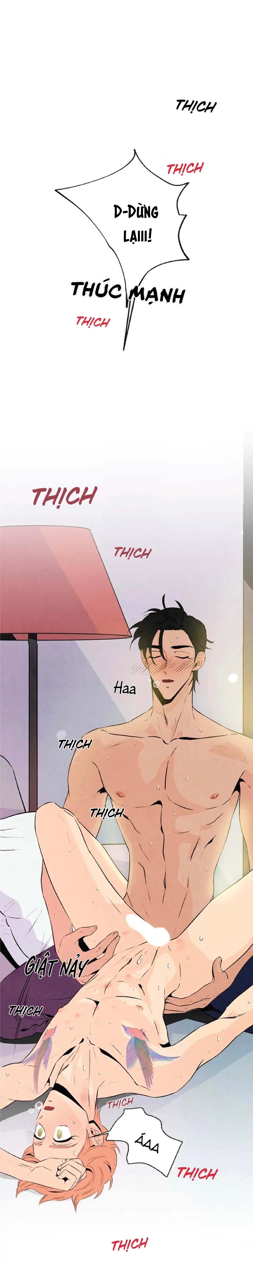 bona sort chapter 20 6