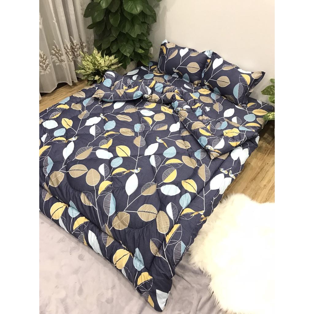 Set phao 5 món siêu rẻ m6/2m