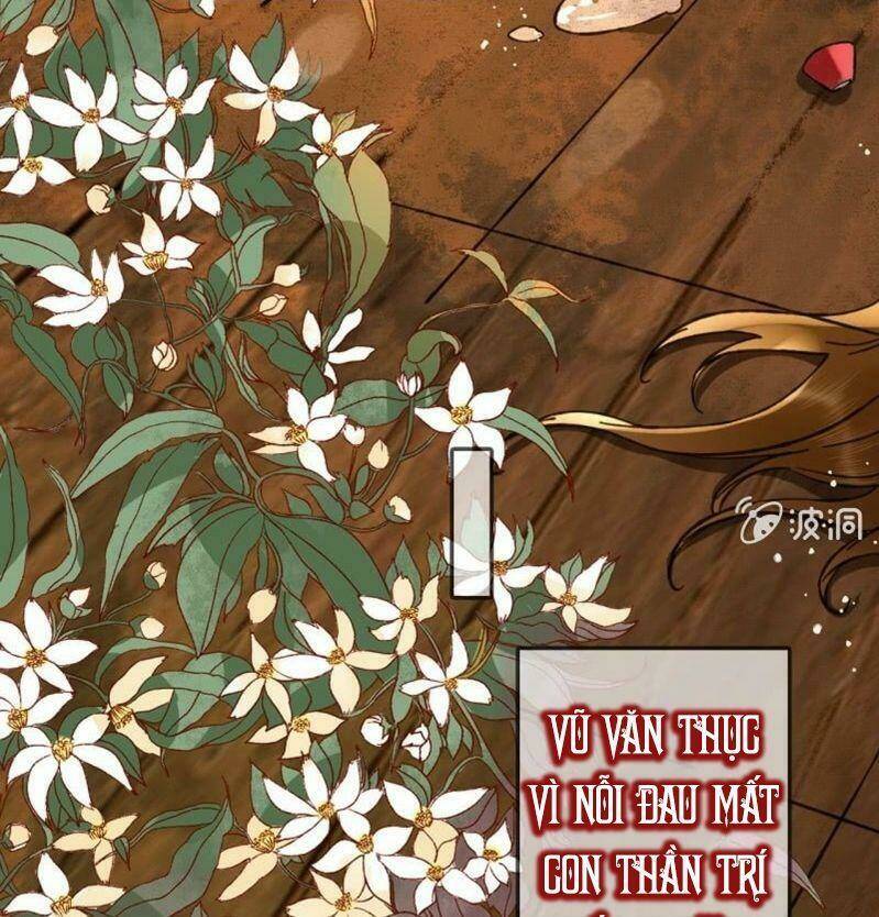 sủng phi của vương chapter 204 38