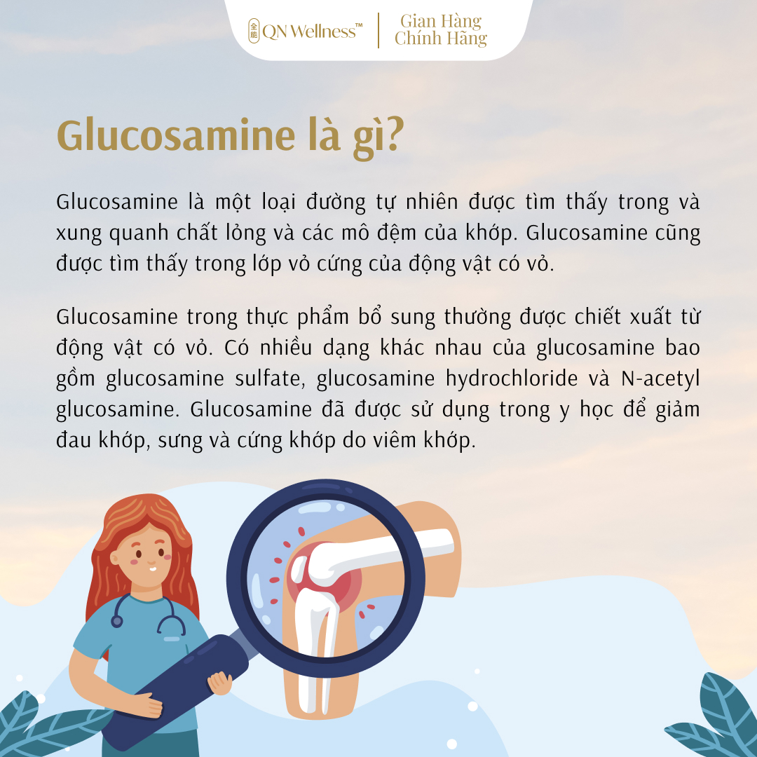 Viên Uống Hỗ Trợ Xương Khớp Plant Glucosamine QN Wellness Chiết Xuất Ngô Thuần Chay, Cung Cấp Máu Cho Khớp, Hỗ Trợ Giảm Sưng, Nâng Đỡ Sụn, Tăng Khả Năng Vận Động  - Hộp 60 Viên