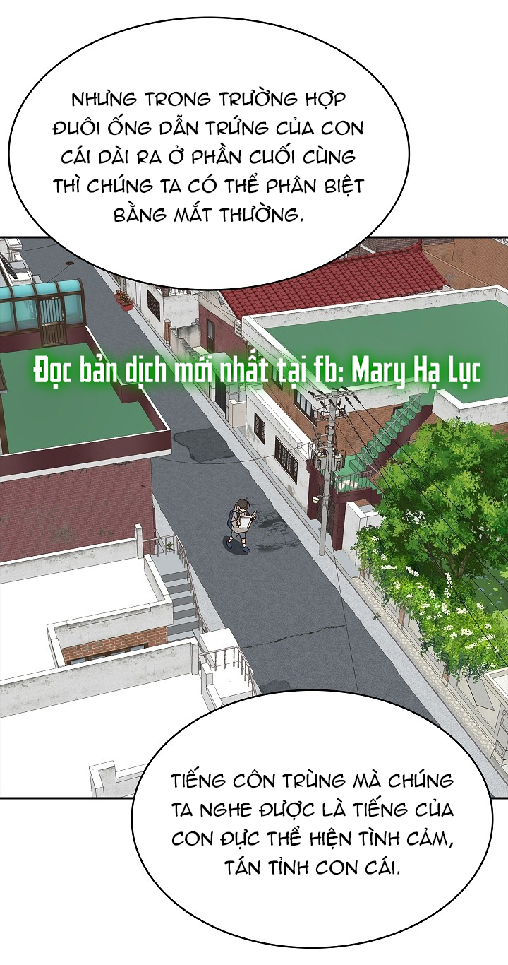 [18+] hoa là mồi nhử chapter 15.1 18