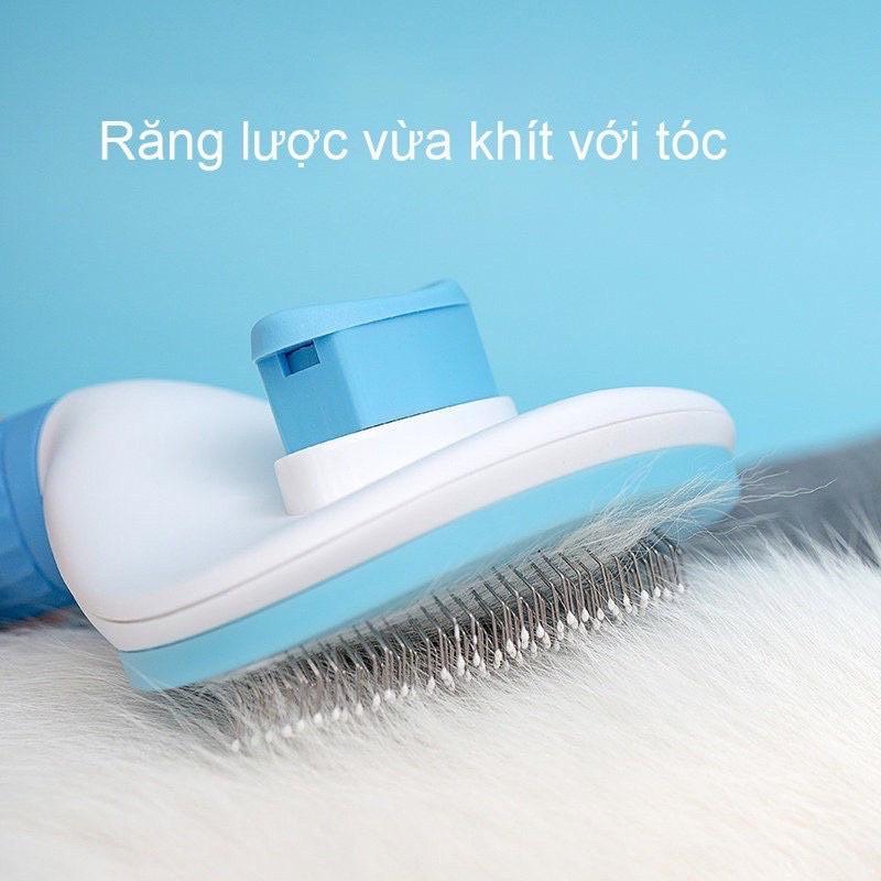 Lược gỡ rối và chải lông chó mèo Clean, lược chải có nút bấm giúp lông chó mèo mềm mượt giá rẻ