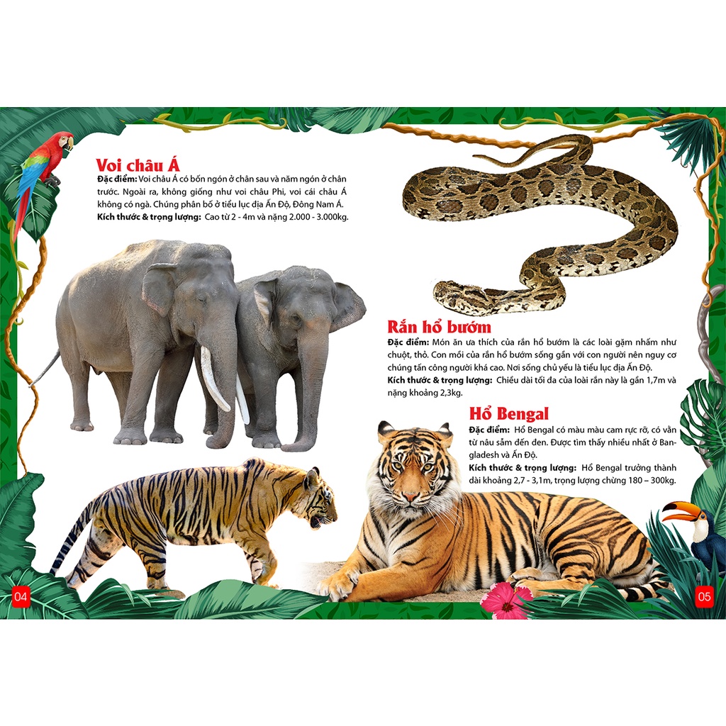 Khám Phá Động Vật 5 Châu Châu Á -