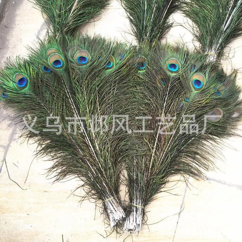 Lông chim công trang trí combo 10 chiếc