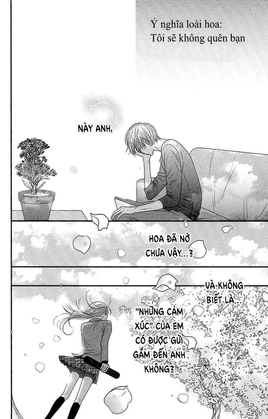 đóa hoa năm ấy chapter 4 55