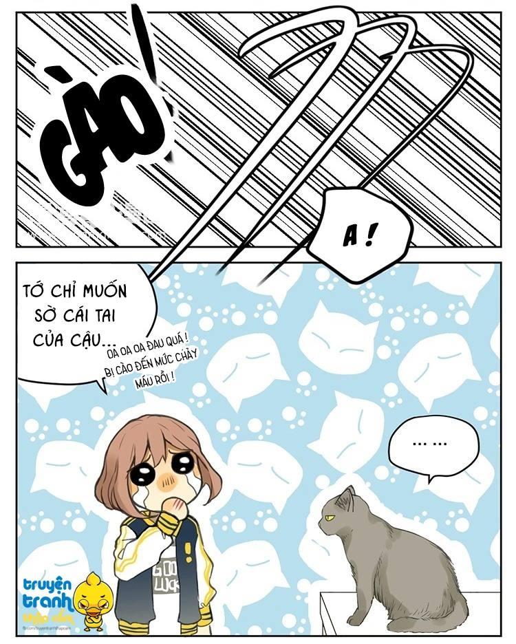 cứu mạng ! loài mèo thống trị thế giới rồi ! chapter 25 7