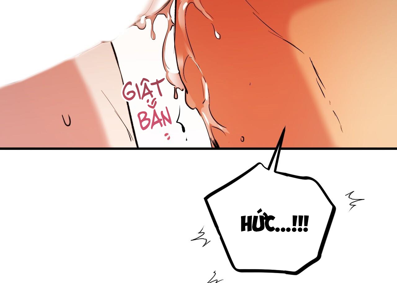 những chú thỏ của hapypy chapter 63 164