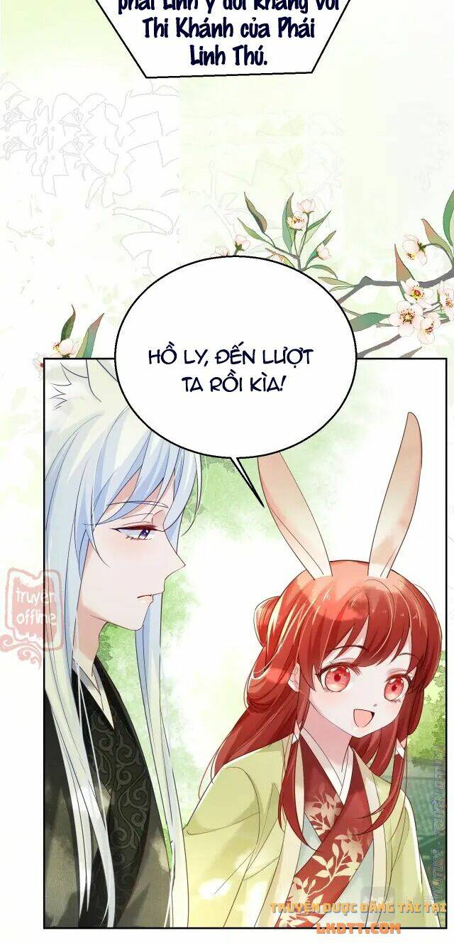 hắc hóa nam chính trực tuyến nuôi thỏ chapter 49 6