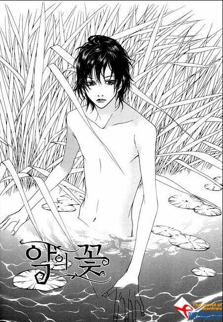 bông hoa của tội lỗi chapter 8 7