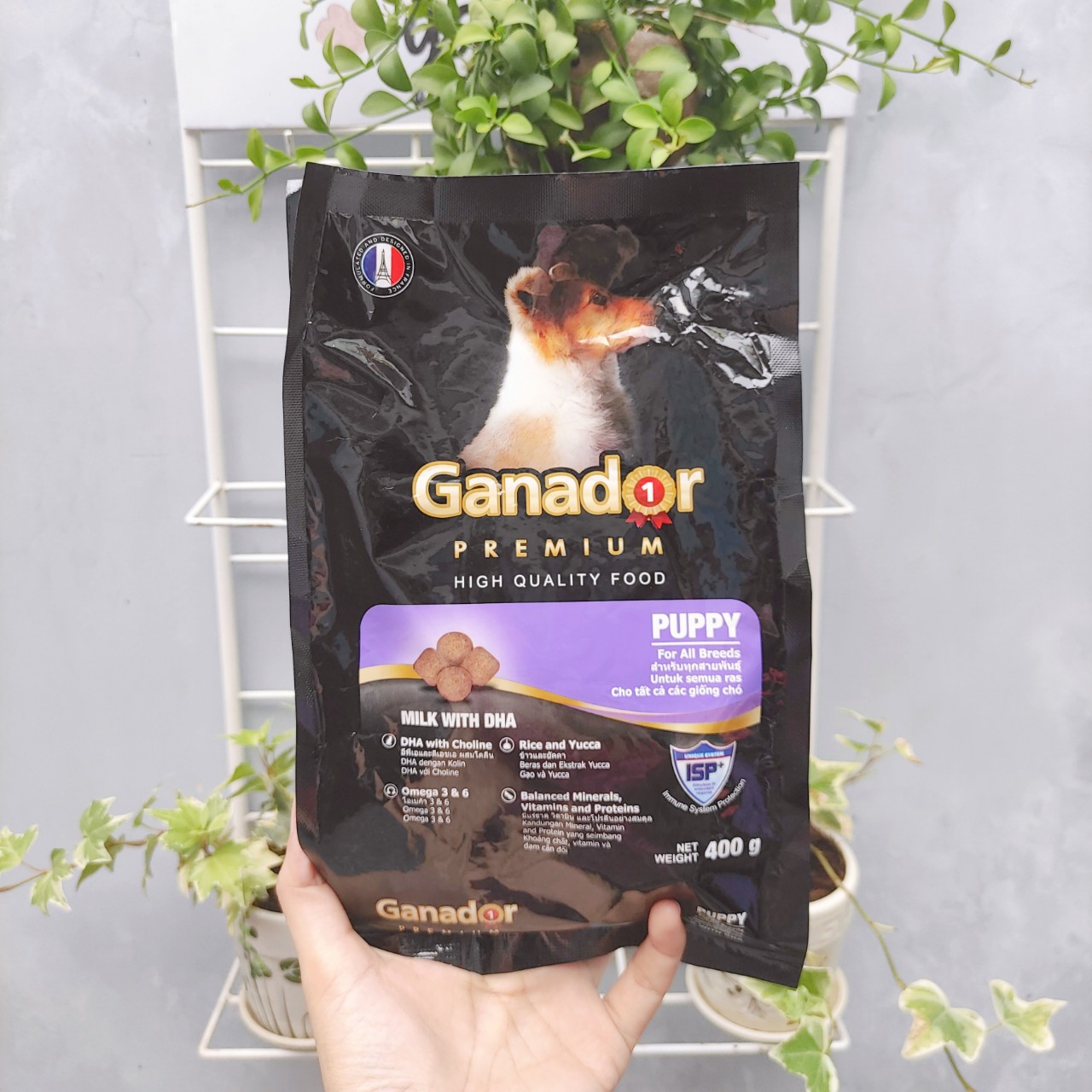 Combo 5 Gói Thức Ăn Hạt Chó Con Vị Sữa Ganador Puppy Milk with DHA Gói 400g - YonaPetshop