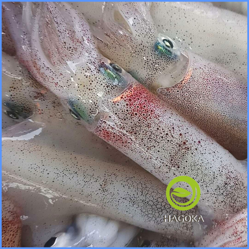 500gr MỰC ỐNG LAO