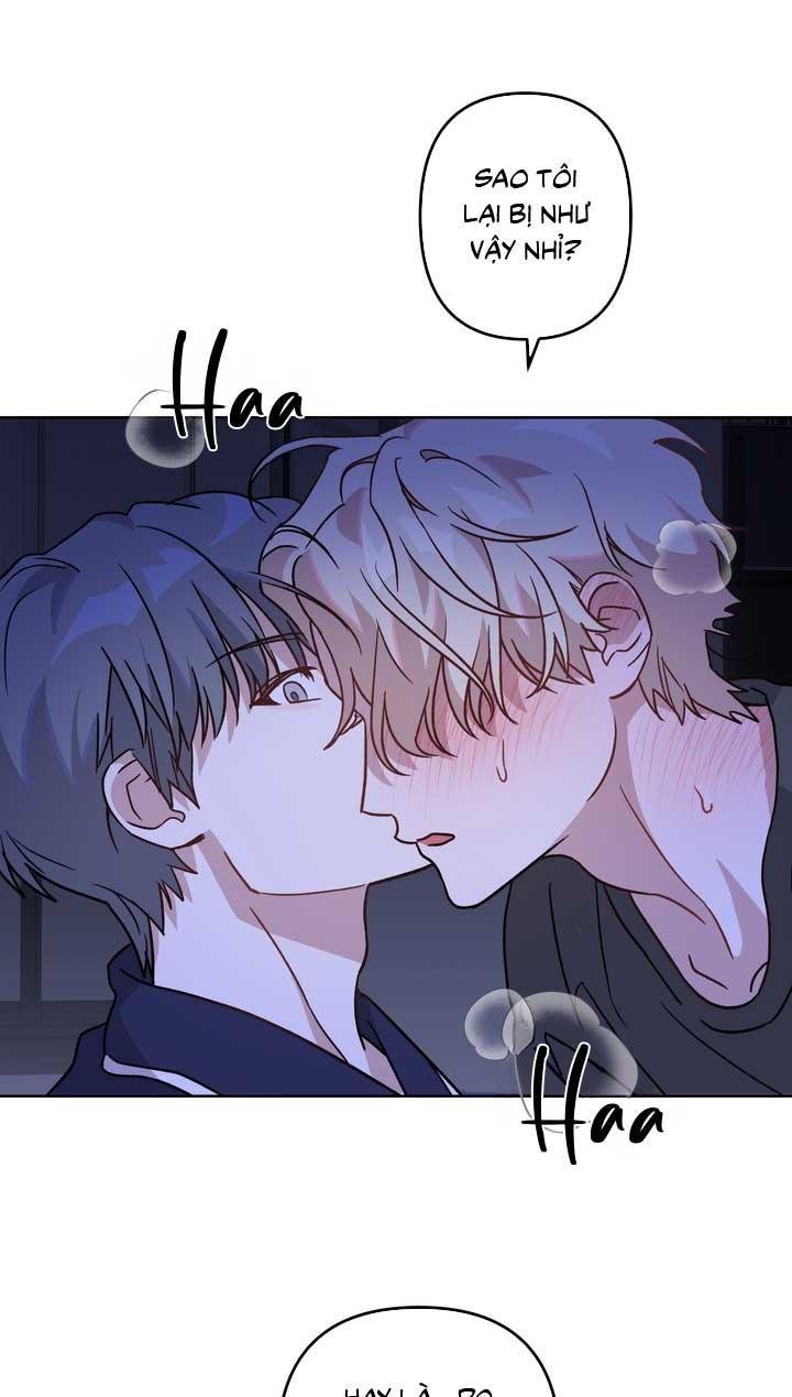 xin hãy chống lưng cho tôi chapter 2 27