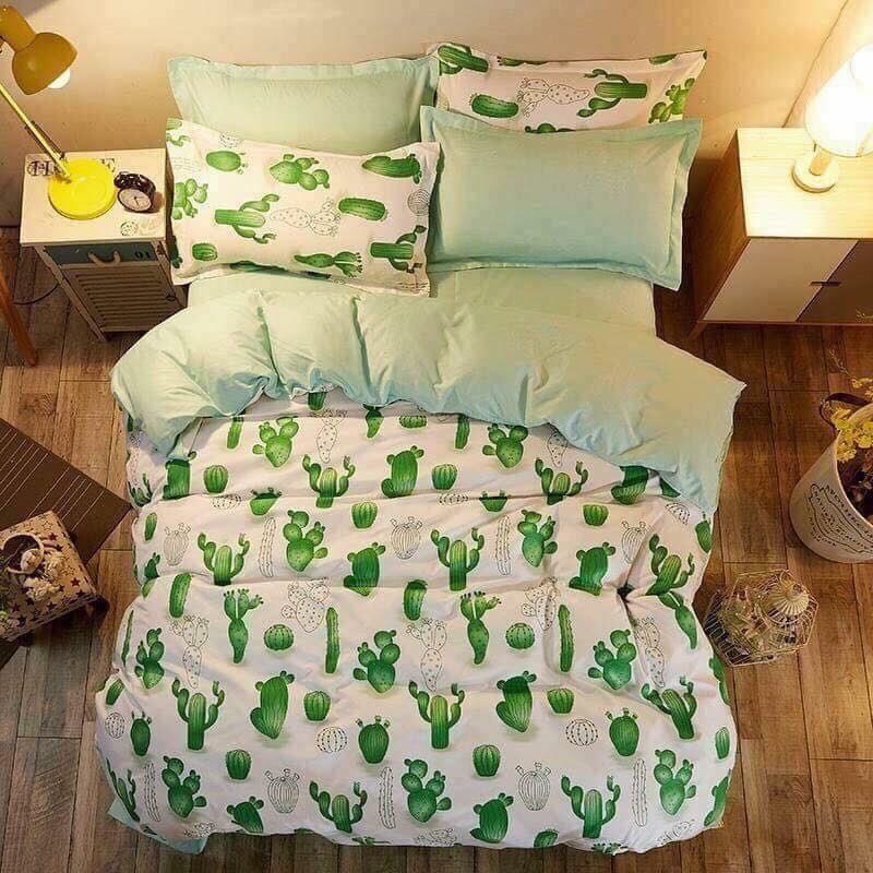 Bộ chăn ga gối phong cách Hàn Quốc xương rồng xanh.
