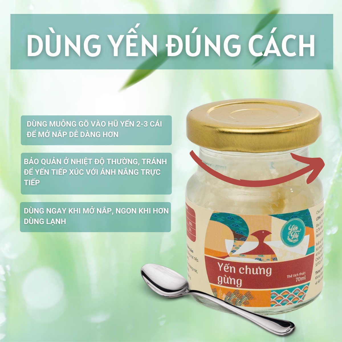 Yến Thị- Chưng Vị Gừng-30% Yến- Quà Tặng