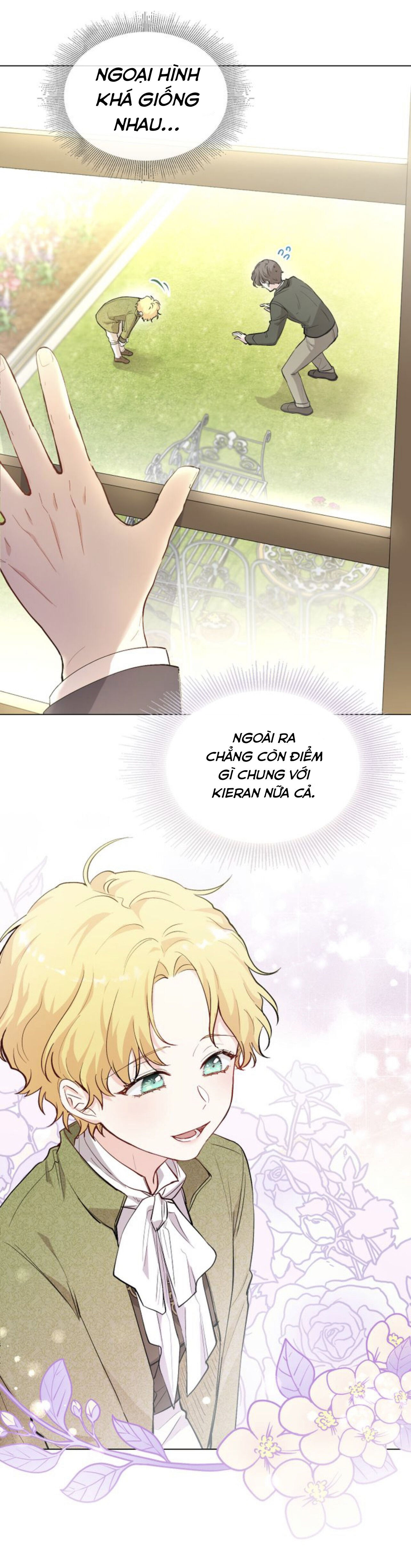 tìm lại nàng camellia chapter 5 6