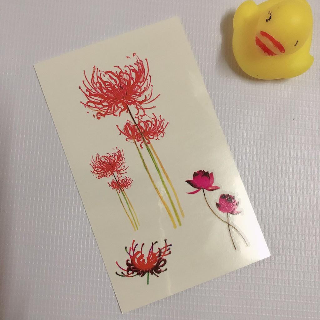 Hình xăm dán hoa bỉ ngạn màu 10x6cm