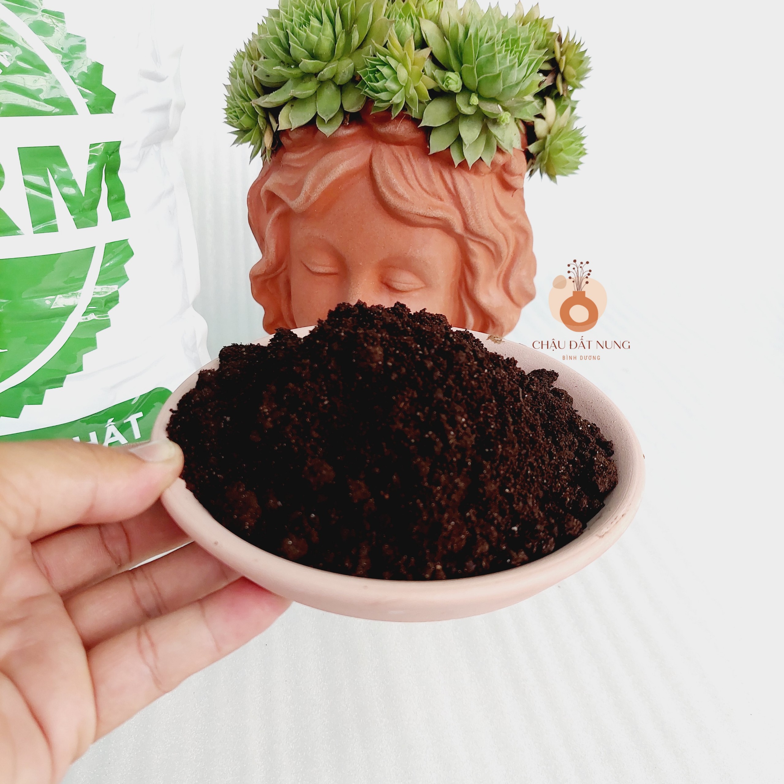 Phân trùn quế SFARM dạng bột Pb01 - 2kg