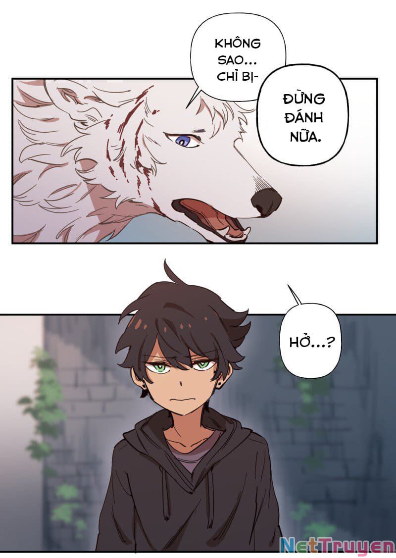 lumine - cội nguồn ánh sáng chapter 77 36