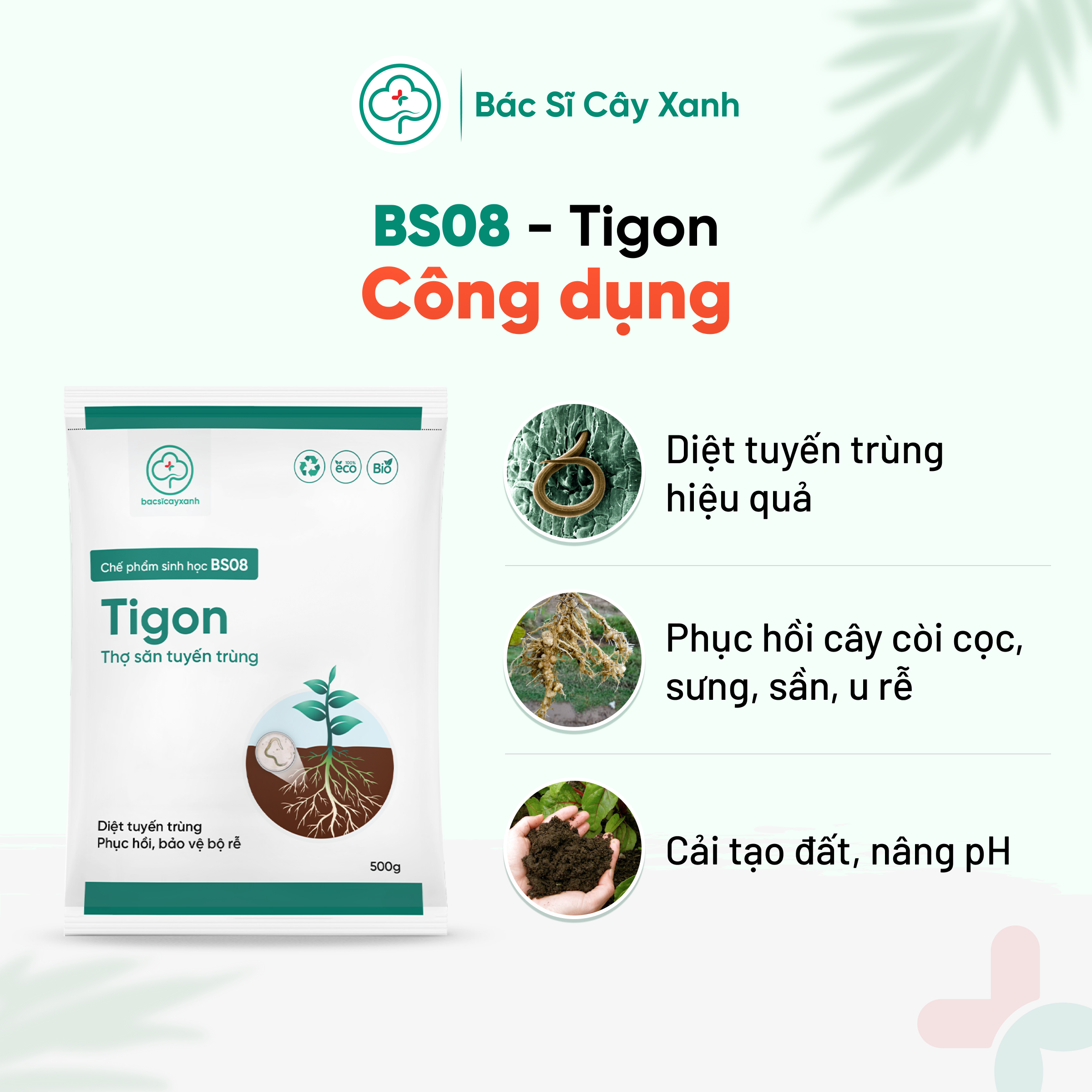 Phân bón đặc trị tuyến trùng rễ, phục hồi cây vàng lá, còi cọc, kém phát triển BS08 Tigon 500g NSX Bacsicayxanh