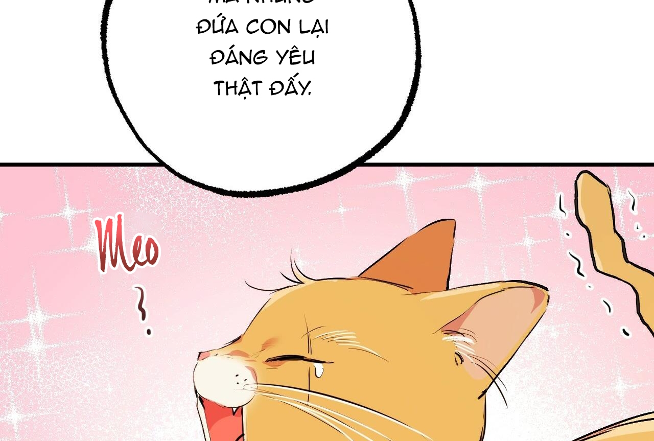 đàn thỏ của habibi chapter 32 33