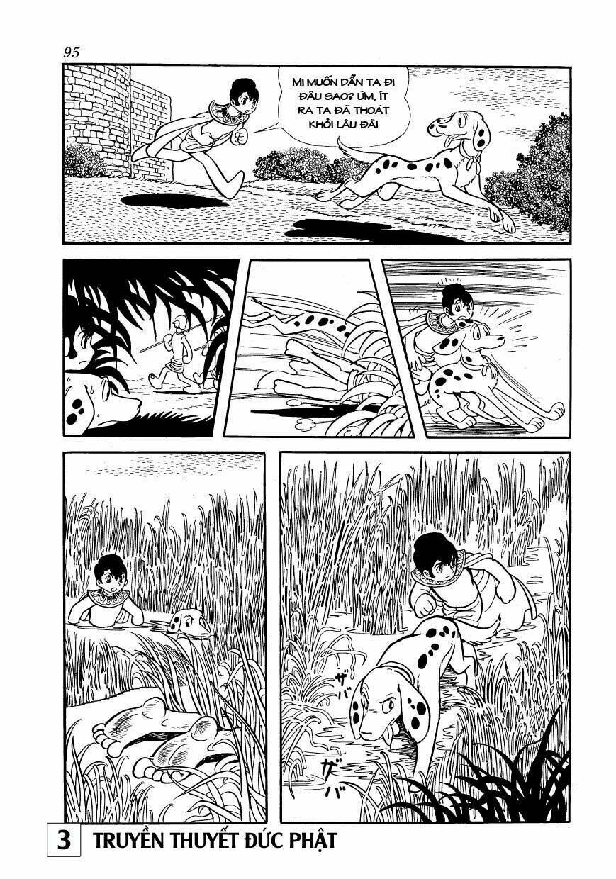 buddha - truyền thuyết đức phật chapter 15 13