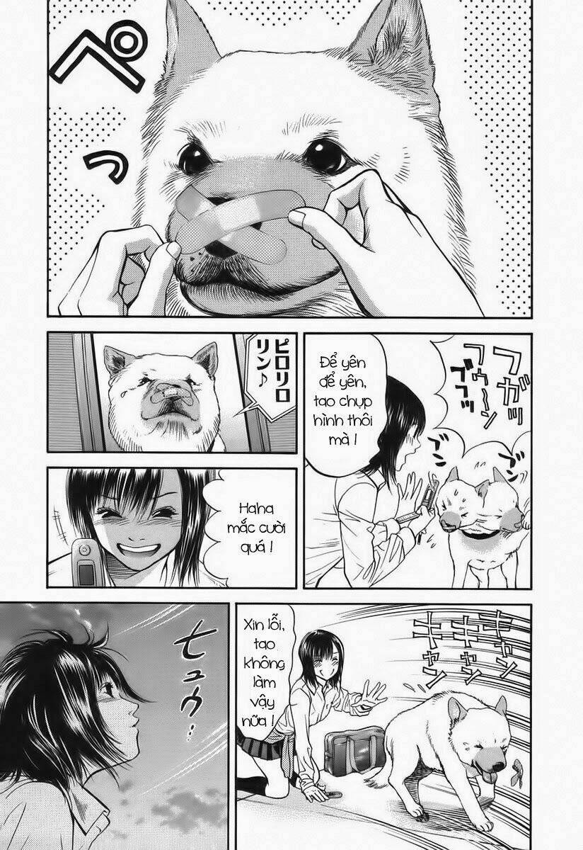 cô nàng yêu chó chapter 41 15