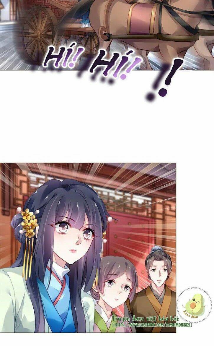 vấn đan chu chapter 17 8